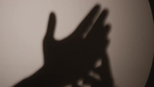 Creative Hand Shadow Puppet Show on Screen