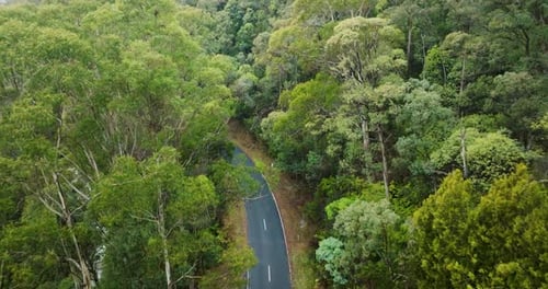 Aerial view of winding road through forest, Australia.
