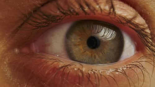 Macro Shot of Human Eye with Visible Blood Vessels and Eyelashes