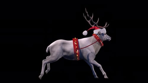 White Northern Reindeer in a Christmas Harness and in