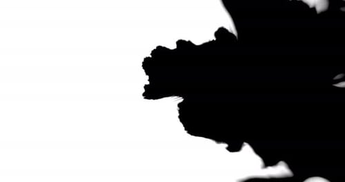 Abstract Black Ink Flowing on White Background