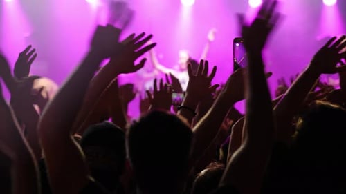 Excited Crowd Enjoying Live Music Concert at Night