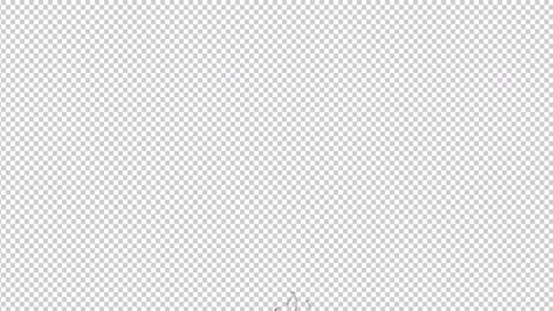 Rosales Plant Growing 2