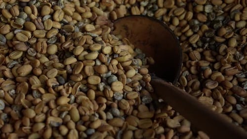 Raw Coffee Beans with Wooden Spoon Close-up