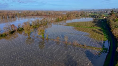 Aerial view of flooded vineyards reflecting the sky, with trees, Rions, France.