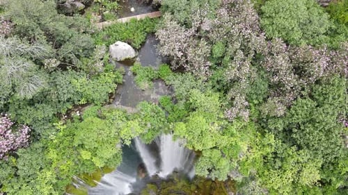 Aerial View of Tropical Waterfall and Greenery