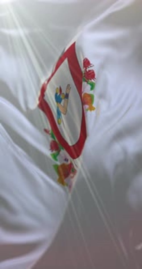 Colima Flag