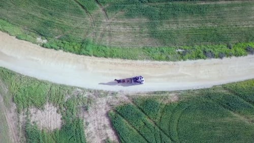 Horse Drawn Buggy Travels Rural Dirt Road