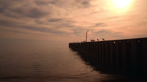 Golden sea sunset reflecting on calm water with seagulls on a pier