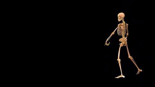 Skeleton Drunk Walk