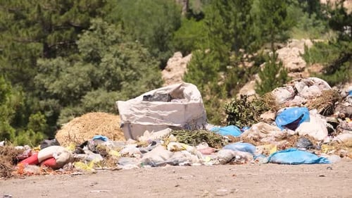 Landfill Waste and Trash Pollution in a Rural Setting