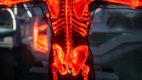 3D Glowing Red Human Skeleton Scan Animation