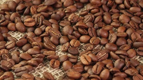 Concept roasted coffee beans rotating on burlap in a coffee shop. An invigorating morning coffee