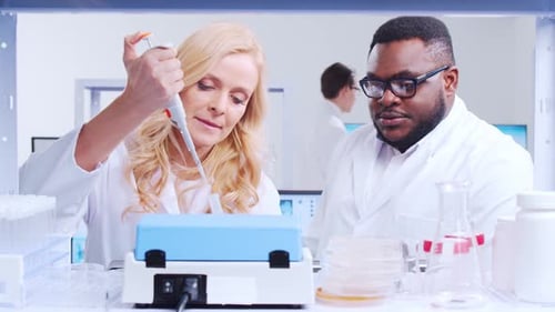 Scientists Conducting Experiment in Bright Laboratory Setting