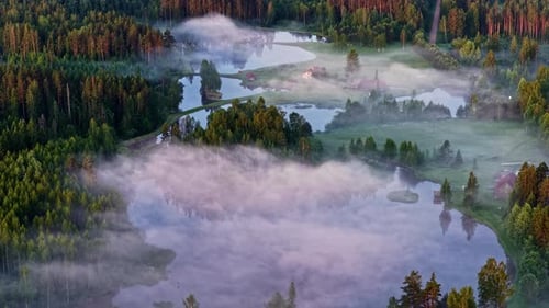 Morning mist floats above tranquil forest ponds and meadows in rural Latvia