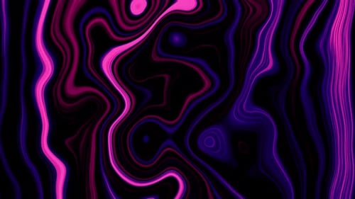 Vibrant Pink Purple Fluid Lines Looping Abstract Background