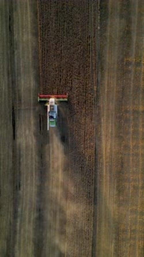 Combine Harvester is Harvesting a Wheat Field Leaving a Trail of Dust Behind It Vertical Video