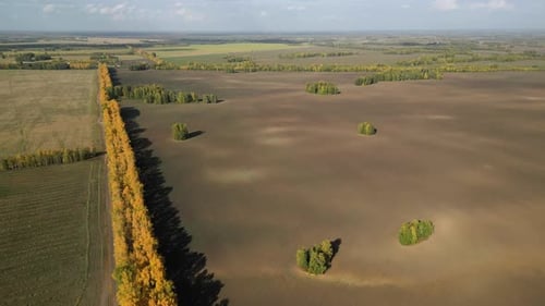 Vista aérea da bela paisagem com árvores entre grandes campos agrícolas arados e semeados em