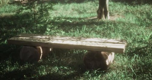Wooden Bench in a Serene Garden Setting Surrounded By Grass and Trees