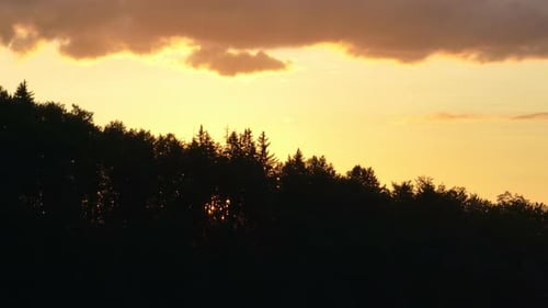Scenic Forest Silhouette at Sunset with Glowing Sun on the Horizon Warm Orange Sky and Tall Pine