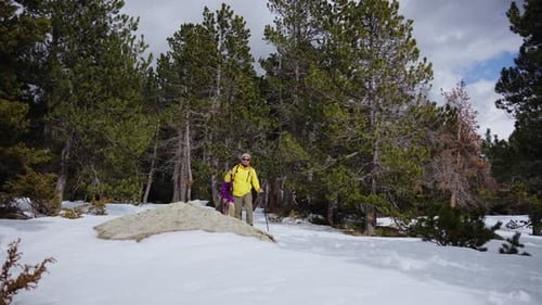 Hiker Walking in Snowy Mountain Forest Trail with Backpack and Trekking Poles