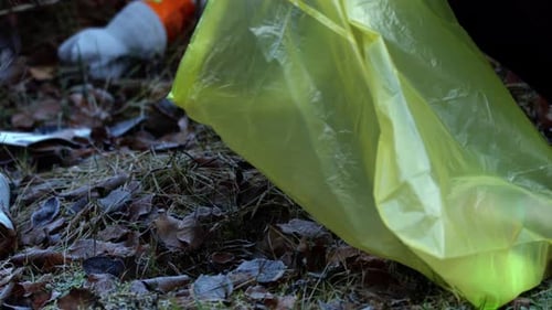 Persona recogiendo basura y basura en una bolsa recolectora en forestgather