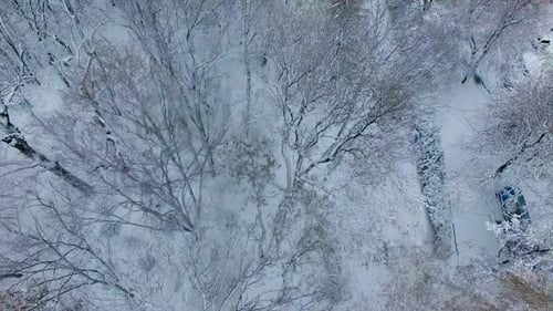 Winter in the city park. Drone flying over the tree tops covered with snow up to the road junction.