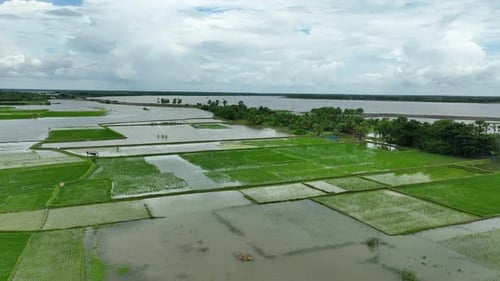 Agricultural fields and village submerged in flood, Satkhira region, Bangladesh