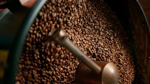 Coffee Beans Roasting in a Industrial Machine