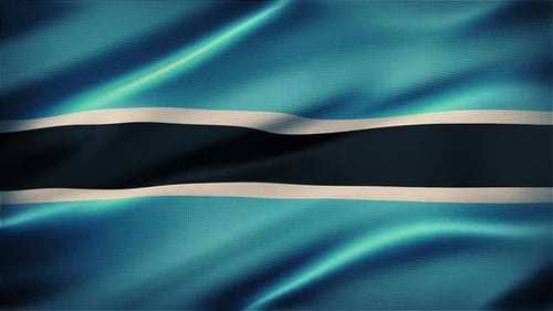 Waving Flag Animation with Blue, Black, White Stripes