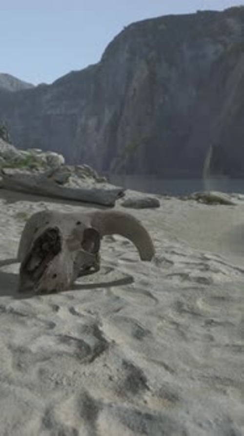 A Dead Animal Laying on a Beach Next to a Body of Water
