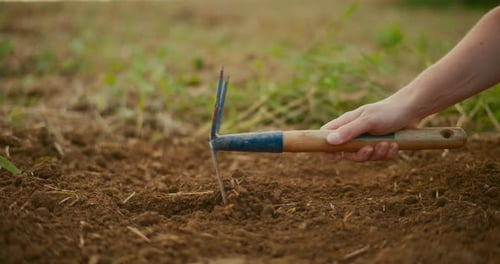 Farmer Preparing Trench for Planting Organic Vegetable Seeds