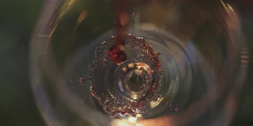 Bartender pours red wine