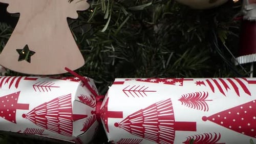 Wrapped Christmas Cracker on Pine Branch. Festive Decorations