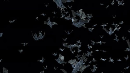 Abstract Stylized Flock of Flying Birds Loop