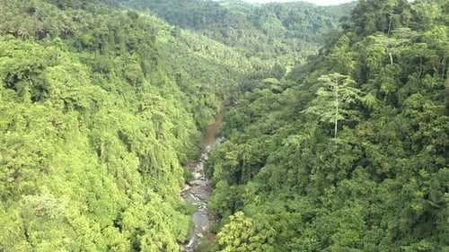 Tropical jungle aerial shot with river valley in Philippines.