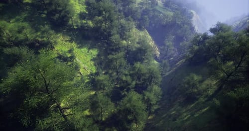 Vale verde exuberante com árvores densas e colinas onduladas durante o dia