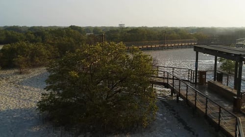 Aerial view of Jubail Mangrove Park, Abu Dhabi, United Arab Emirates.