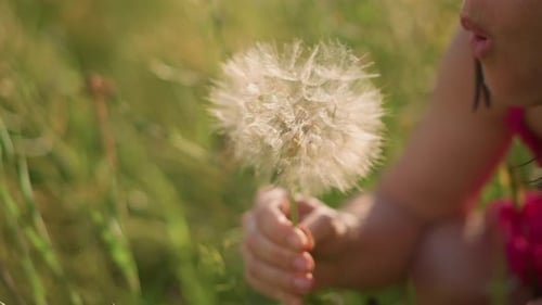 Woman Blowing Dandelion Seeds in a Sunny Meadow