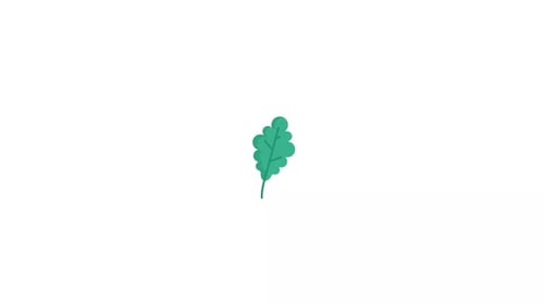 Animated Flat Design Green Leaf Growing