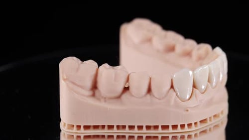 Dental Impression with False Teeth Spinning Close Up