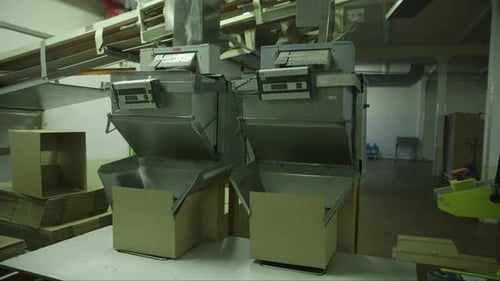 candies fall from a large dispenser into a cardboard box in a candy factory