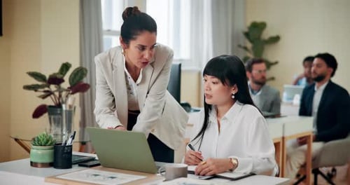 Feedback, manager and women with laptop, advice and help with project in office