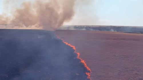 Burning Grass in Large Field