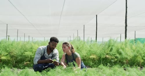 Magnifying glass, tablet and people in greenhouse for plant research, leaf growth