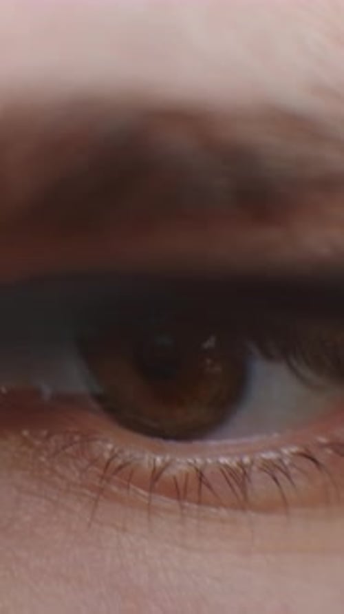 Extreme Macro Closeup Sequence of a Human Brown Eye Blinking Slowly Revealing Skin Texture Eyelashes