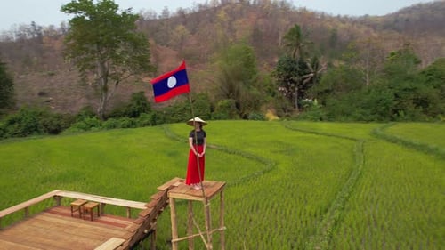 Rice Field in Luang Probang Laos