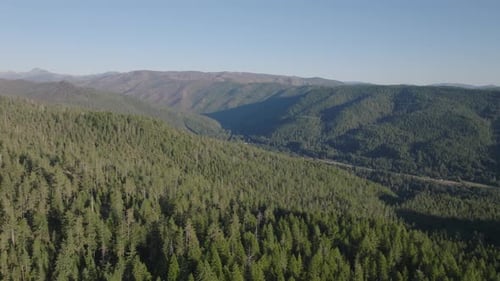 Lush green forested mountains stretch under a clear blue sky during a sunny day