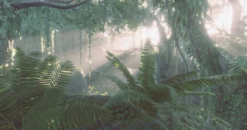Sunlight Filters Through Dense Foliage in a Lush Tropical Forest