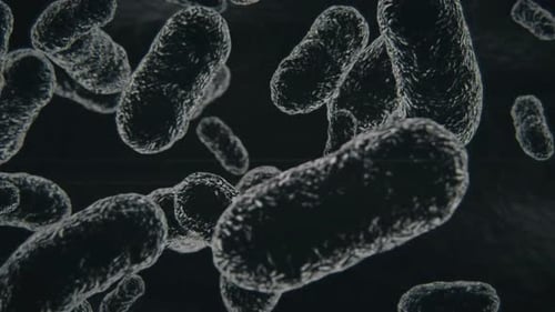 3D Animation of Abstract Microscopic Organisms Floating